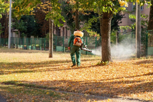Trusted Christiana, TN Pest Control Experts