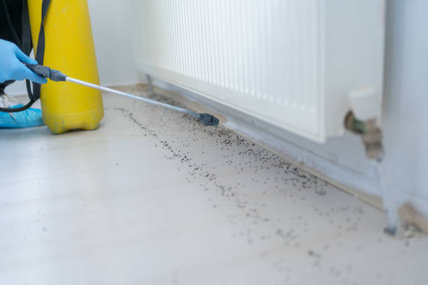 Best Commercial Pest Control Services  in Christiana, TN