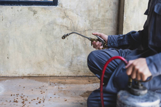Wasp Removal Services in Christiana, TN