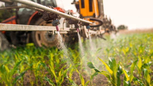Best Wildlife Control Services  in Christiana, TN